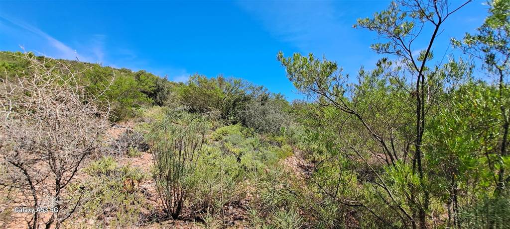 721 m² Land available in Robertson photo number 2