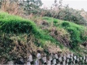 2646 m² Land available in Umlazi