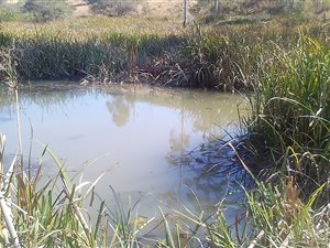 80 ha Farm in Ixopo