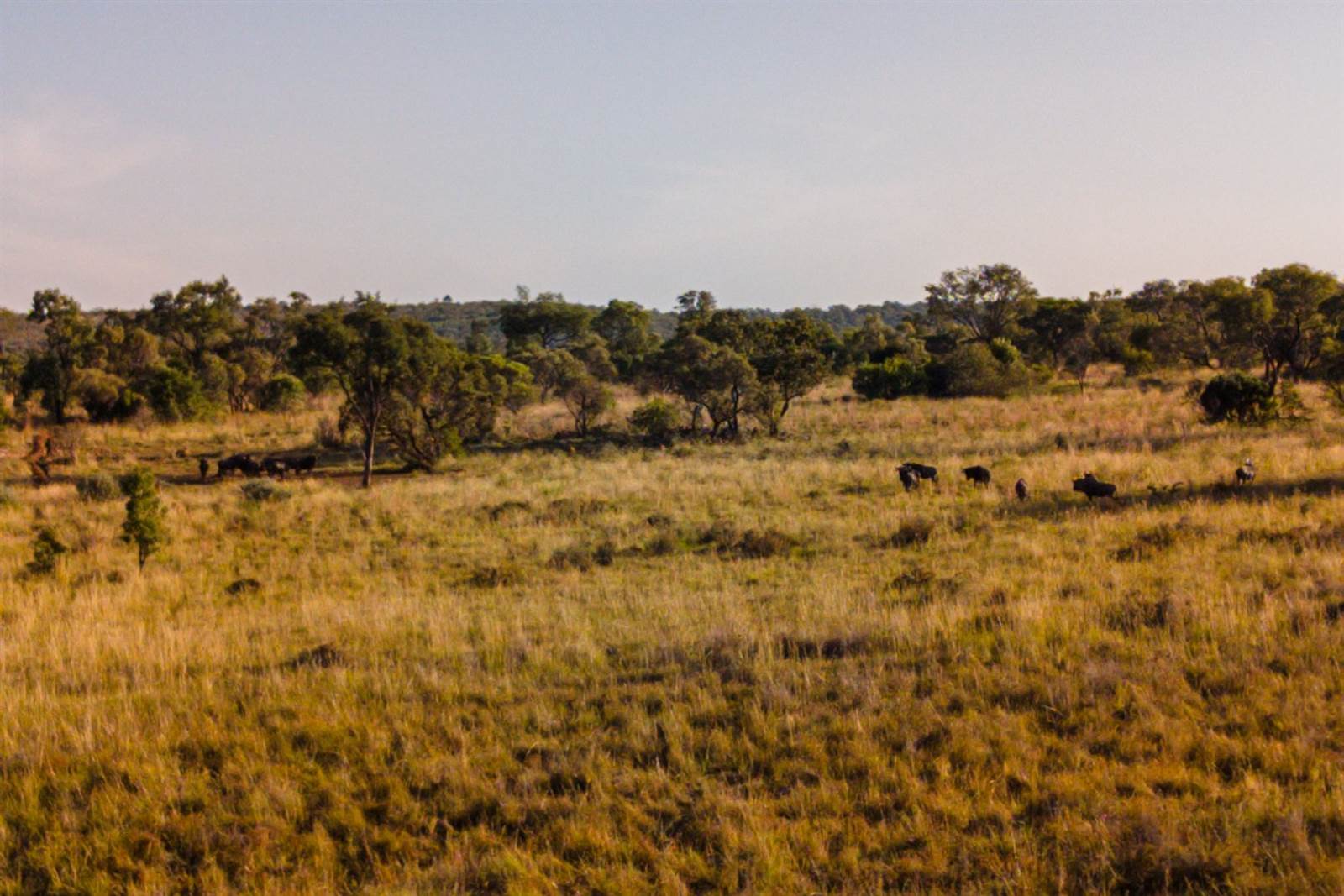 2 ha Land available in Cullinan and Surrounds photo number 15