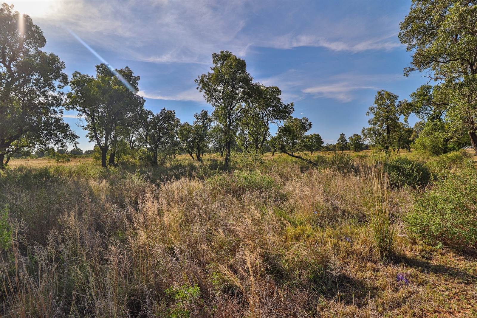2 ha Land available in Cullinan and Surrounds photo number 26