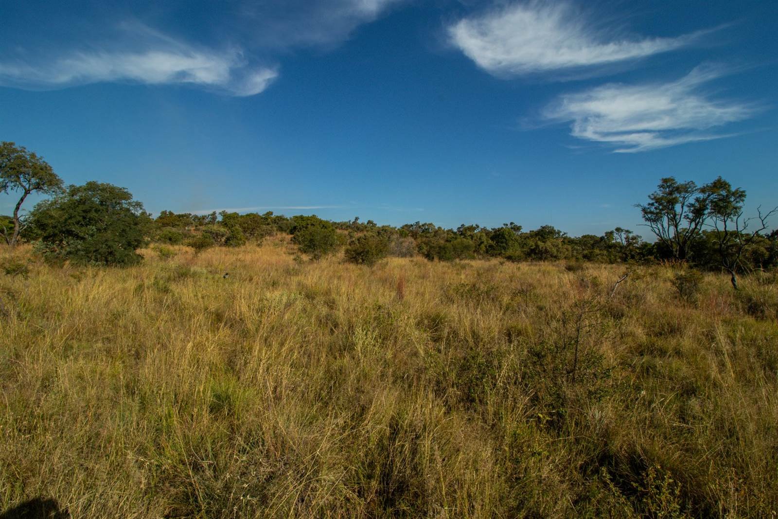 2 ha Land available in Cullinan and Surrounds photo number 28