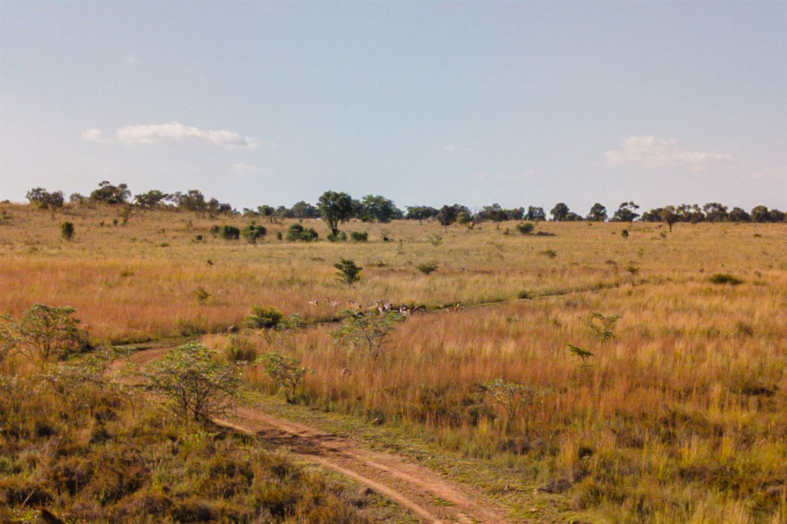 2 ha Land available in Cullinan and Surrounds photo number 6