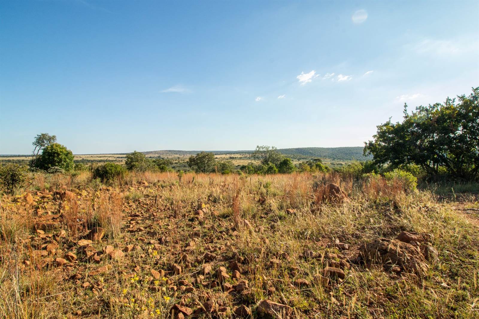 2 ha Land available in Cullinan and Surrounds photo number 30