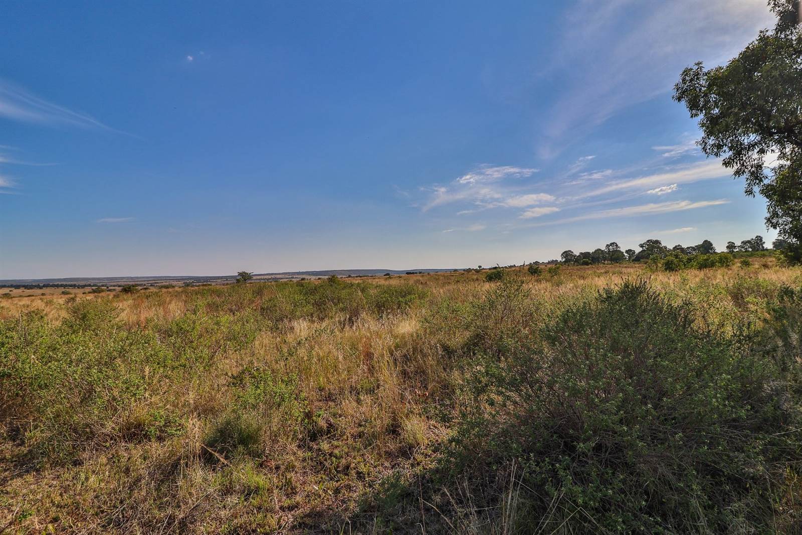 2 ha Land available in Cullinan and Surrounds photo number 27