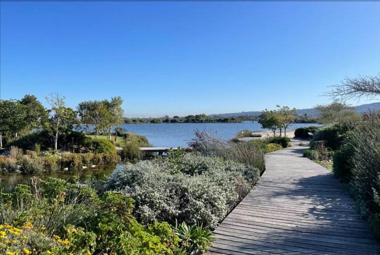 323 m² Land available in Somerset Lakes photo number 8