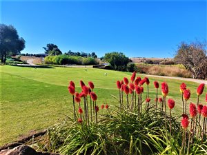 1045 m² Land available in Vaal Dam