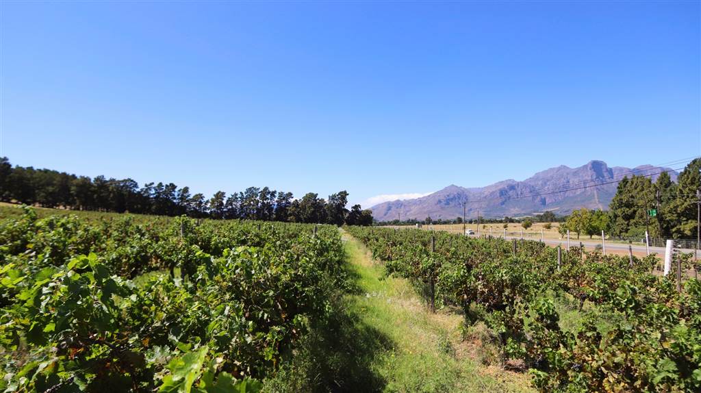 42 ha Land available in Northern Paarl photo number 24
