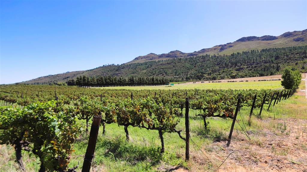 42 ha Land available in Northern Paarl photo number 26
