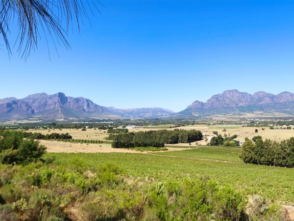 42 ha Land available in Northern Paarl