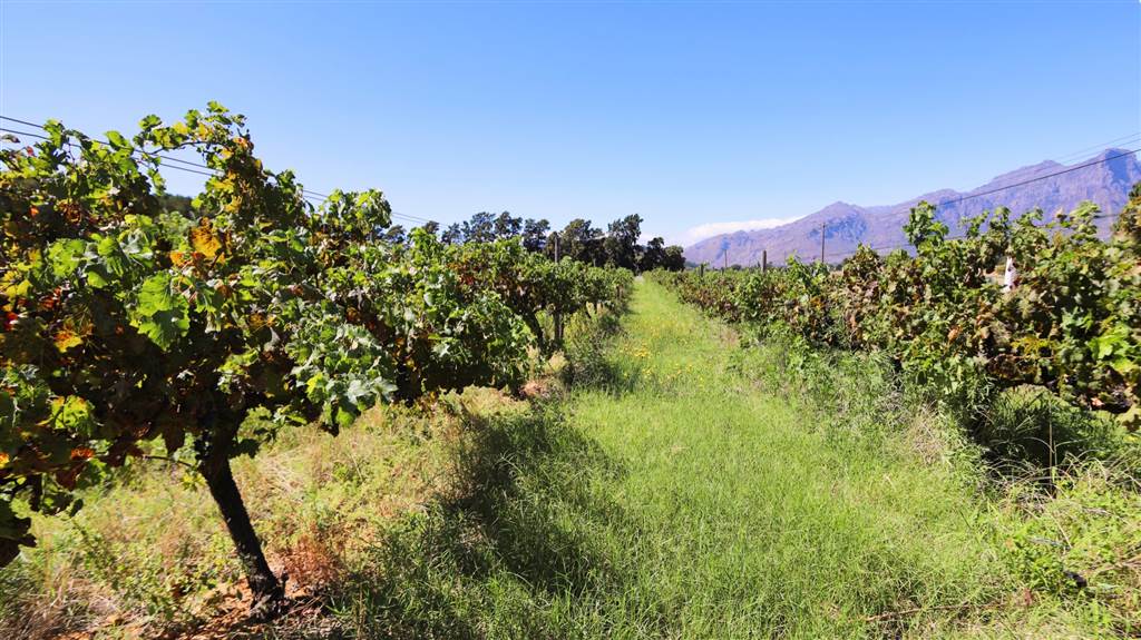 42 ha Land available in Northern Paarl photo number 23