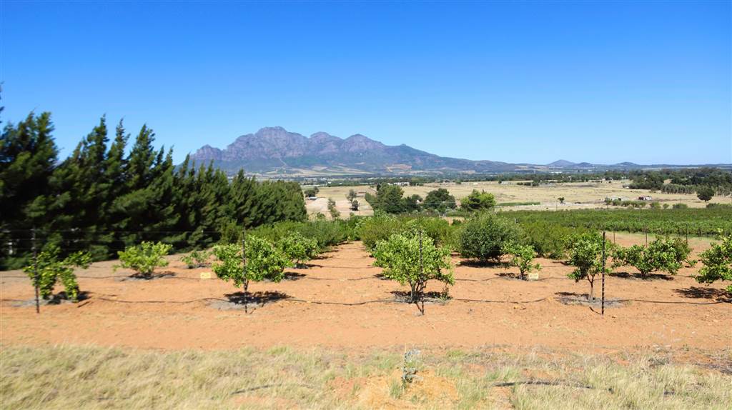 42 ha Land available in Northern Paarl photo number 15