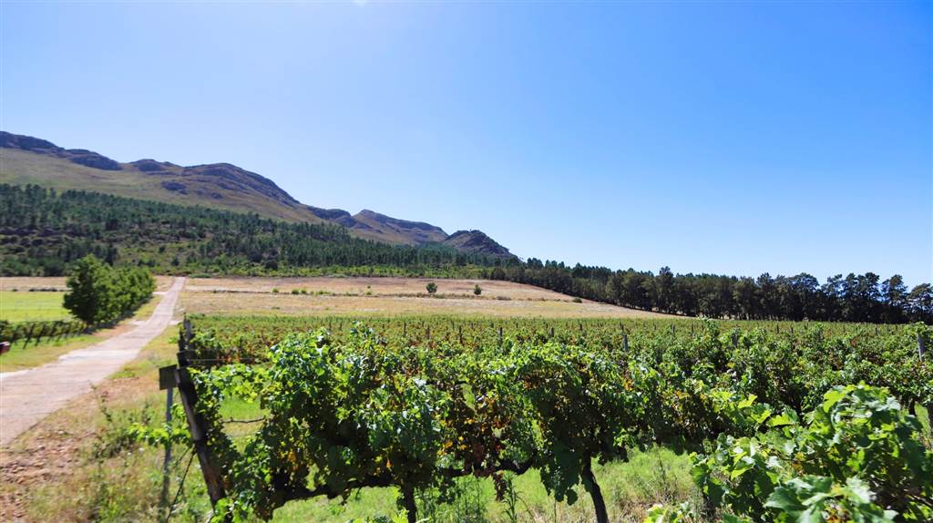 42 ha Land available in Northern Paarl photo number 25