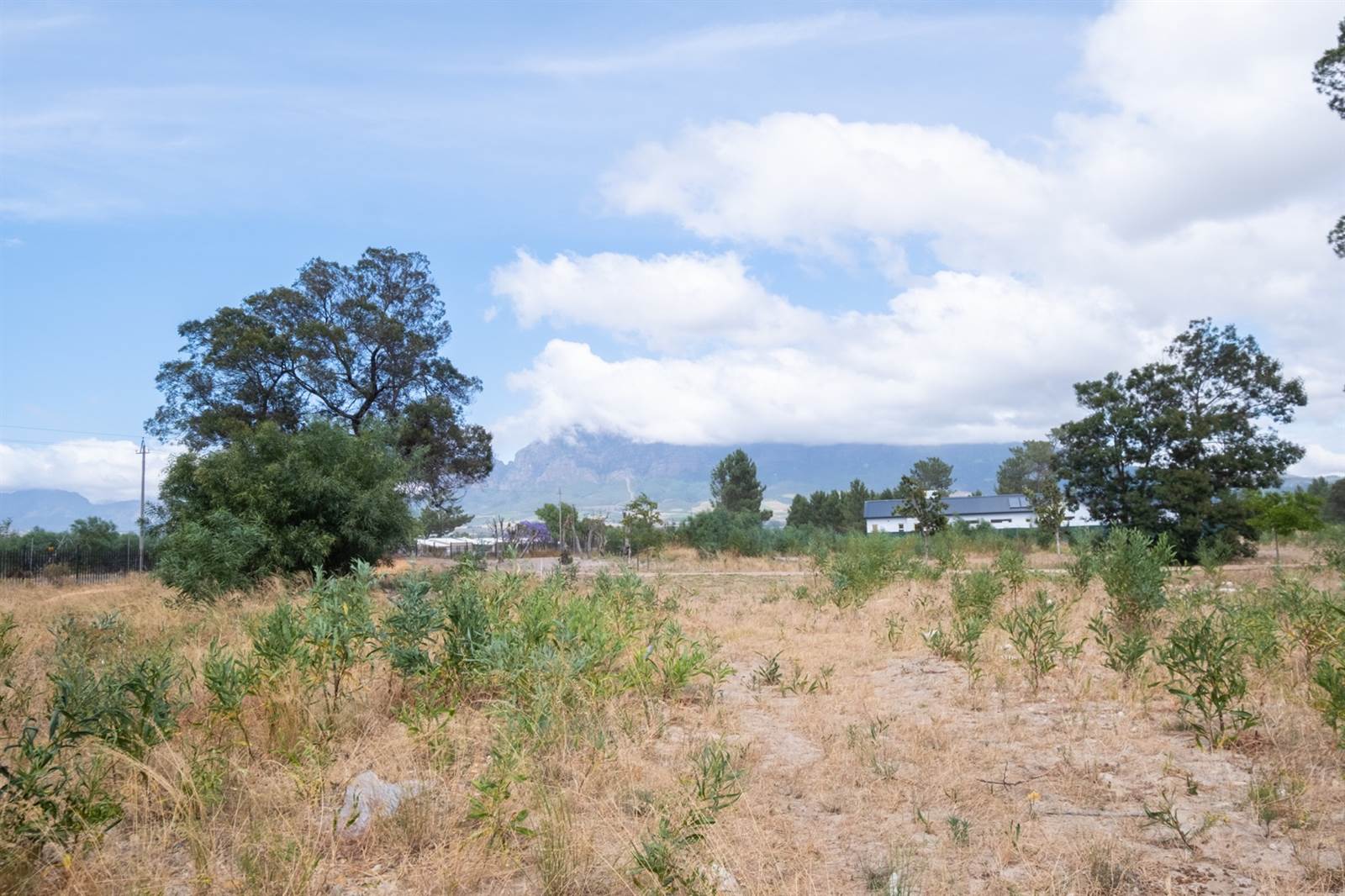 1370 m² Land available in Pearl Valley photo number 11