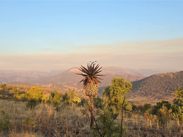 510 ha Farm