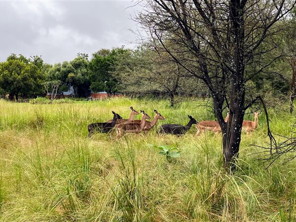 926 m² Land 926 m² Land