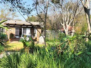 3 Bed House in Irene