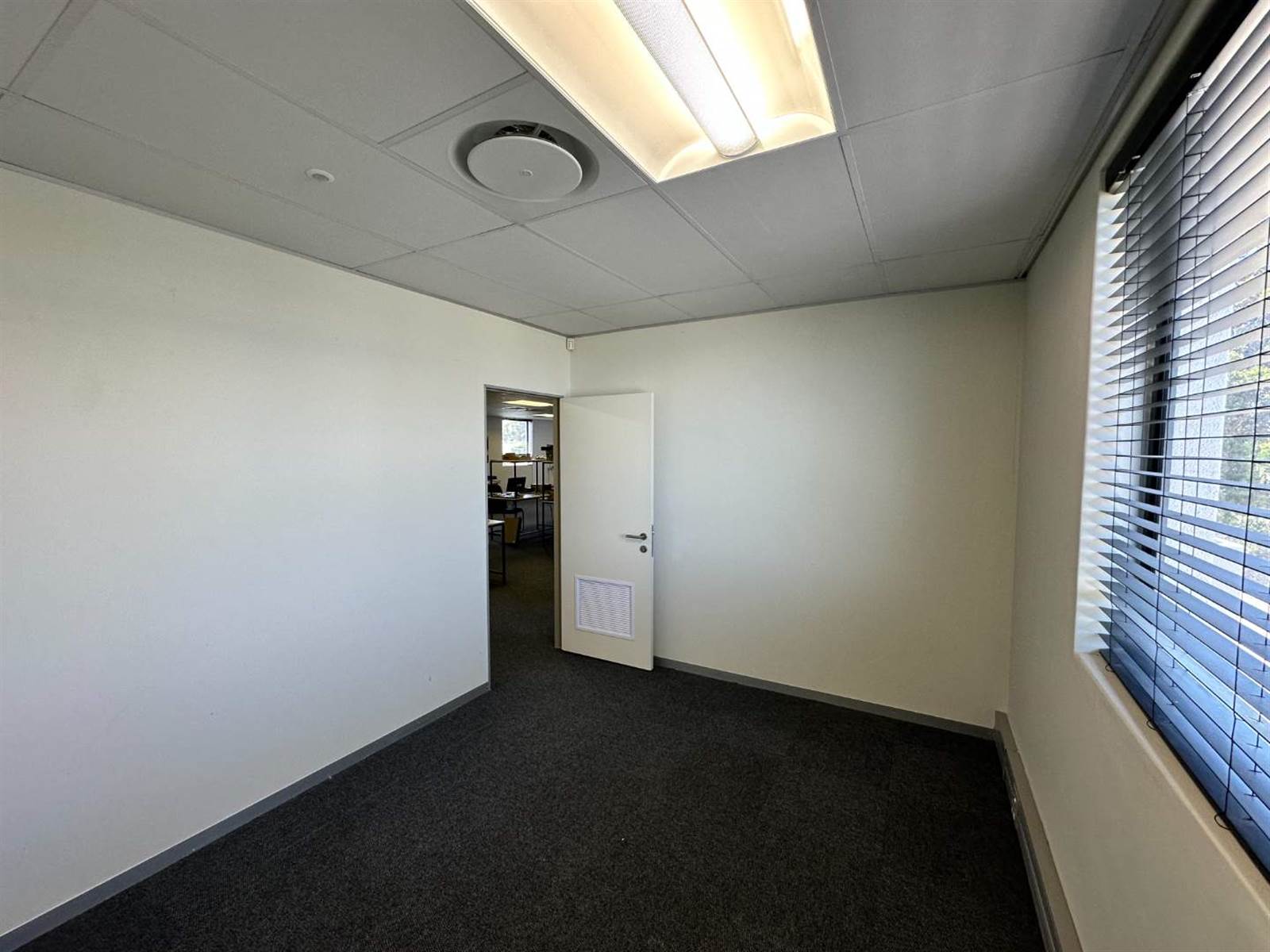 983  m² Office Space in Kenilworth photo number 12
