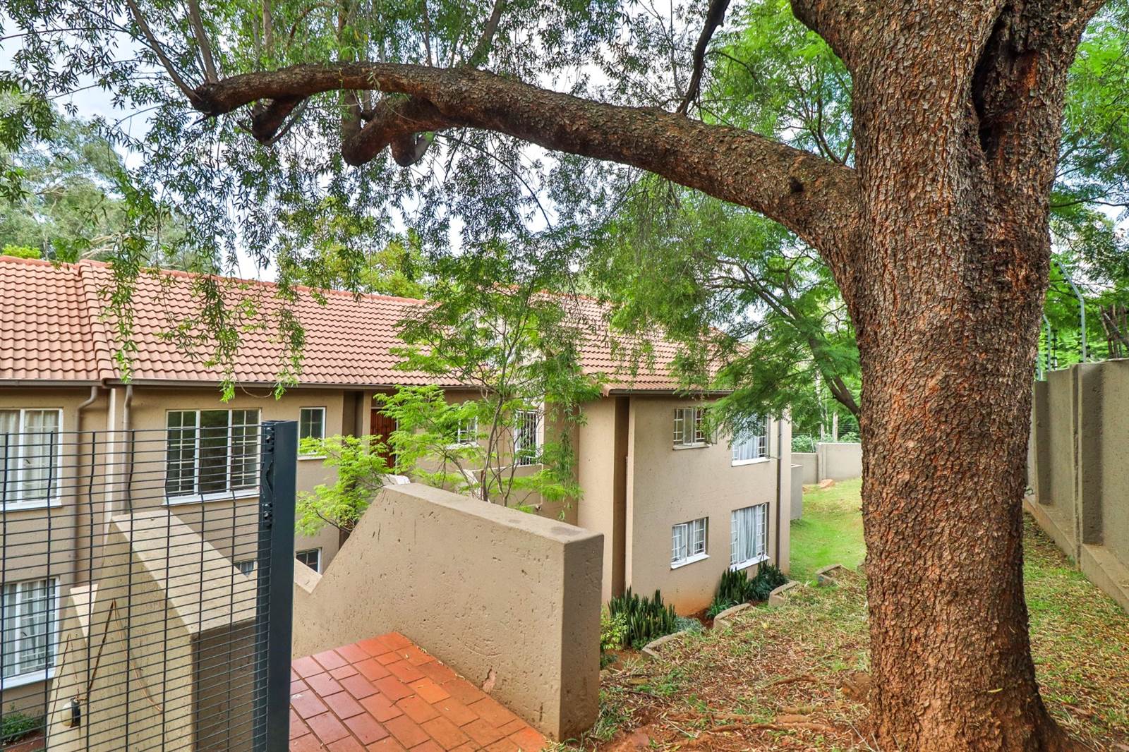 3 Bed Townhouse in Newlands photo number 6