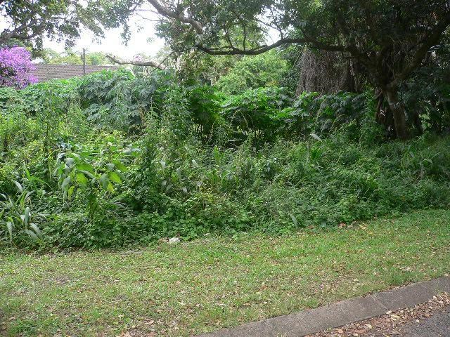 1422 m² Land available in Pennington photo number 1