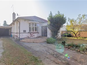 3 Bed House in Springs Central