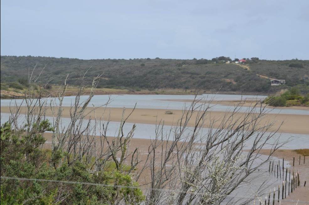 80 ha Farm in Gouritsmond photo number 9