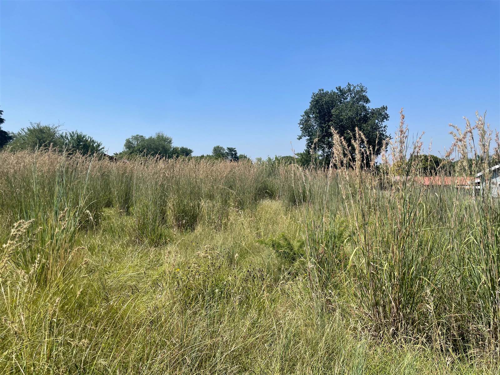 1350 m² Land available in Schuinshoogte photo number 4