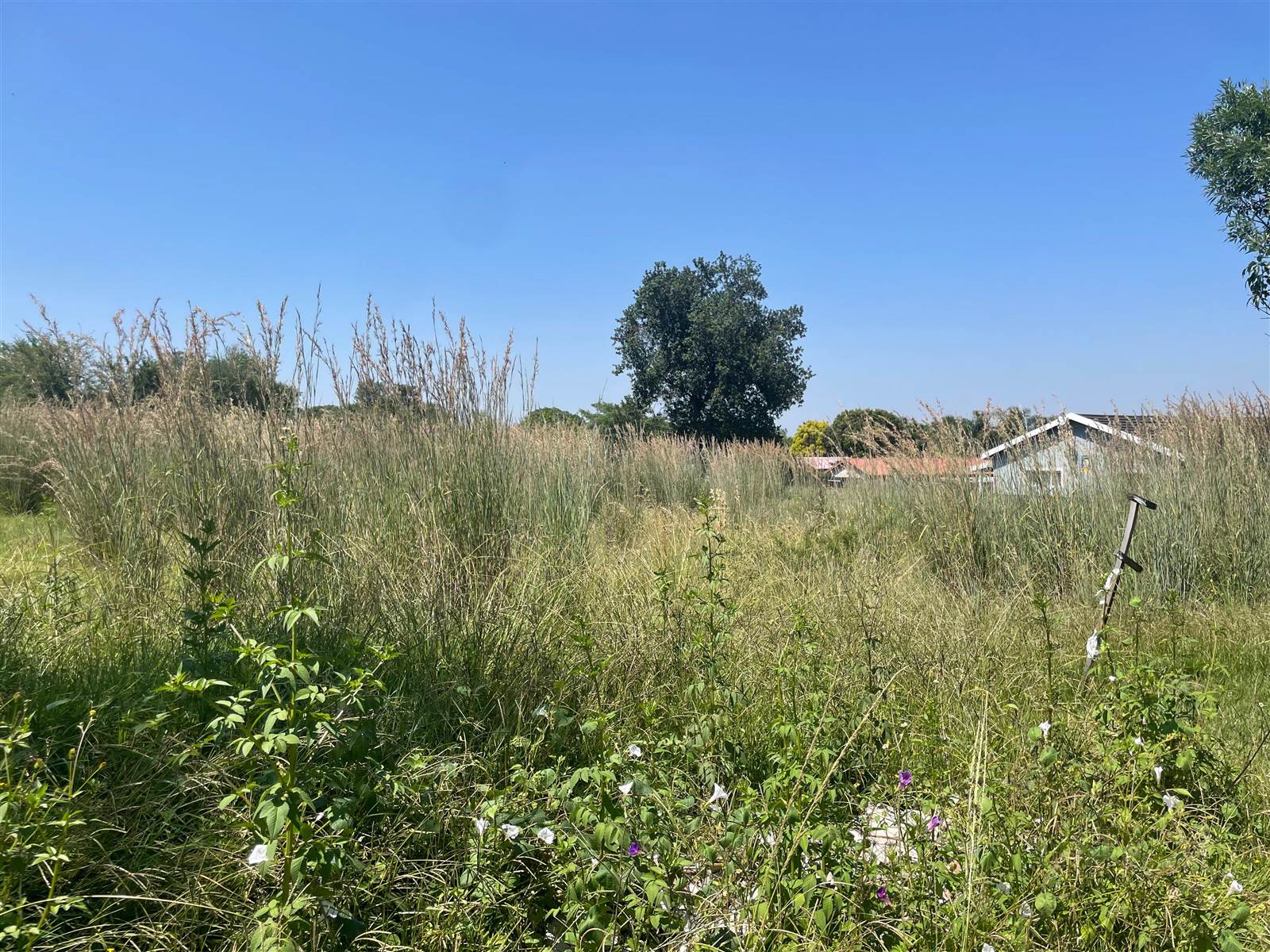 1350 m² Land available in Schuinshoogte photo number 5