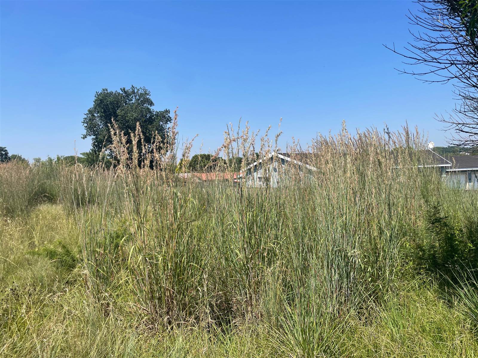1350 m² Land available in Schuinshoogte photo number 3
