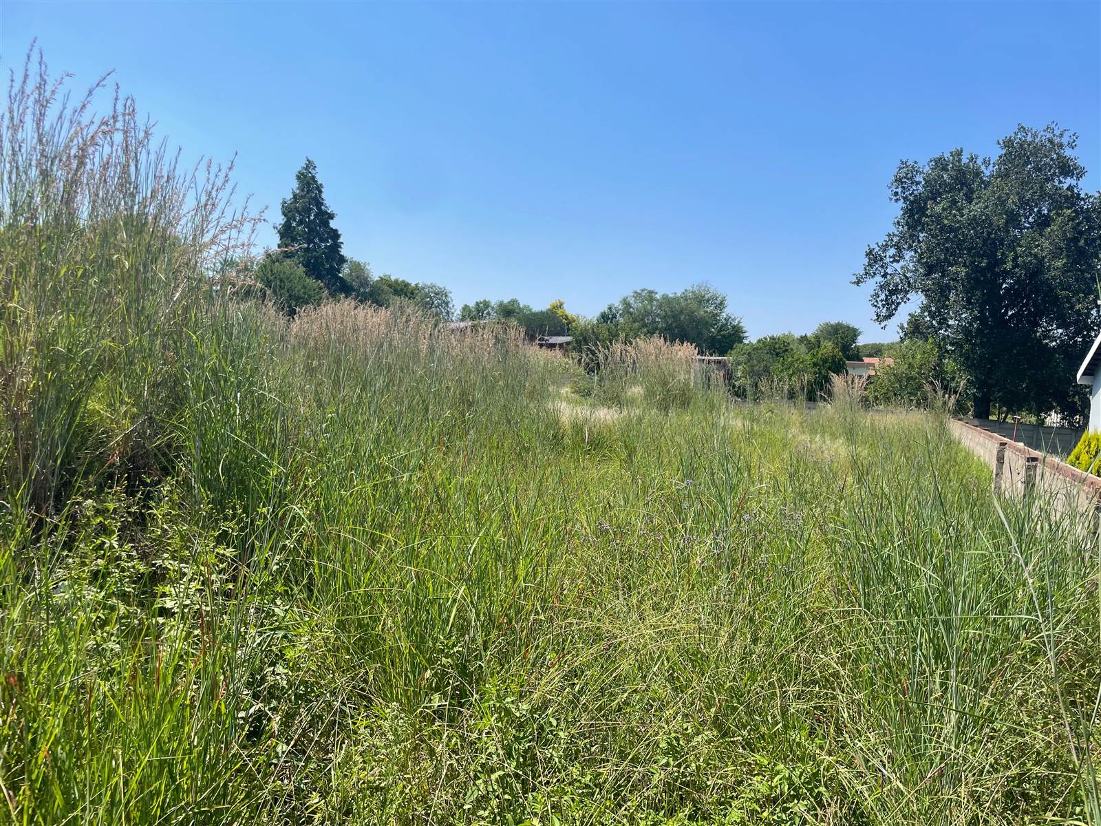 1350 m² Land available in Schuinshoogte photo number 1