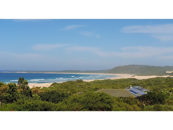 941 m² Land available in Oyster Bay