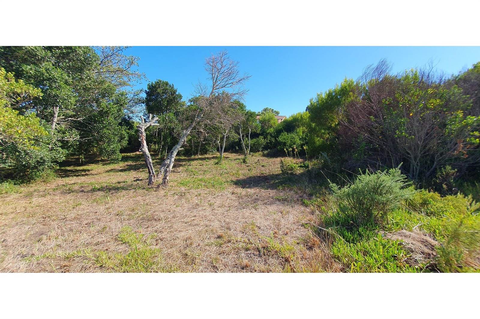 941 m² Land available in Oyster Bay photo number 5