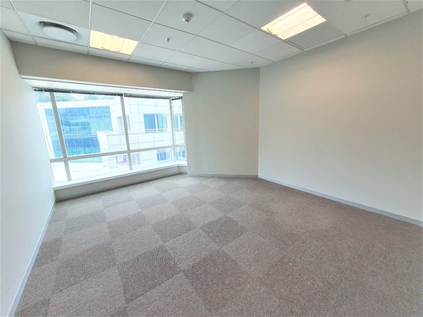 429  m² Office Space in Sandhurst photo number 15