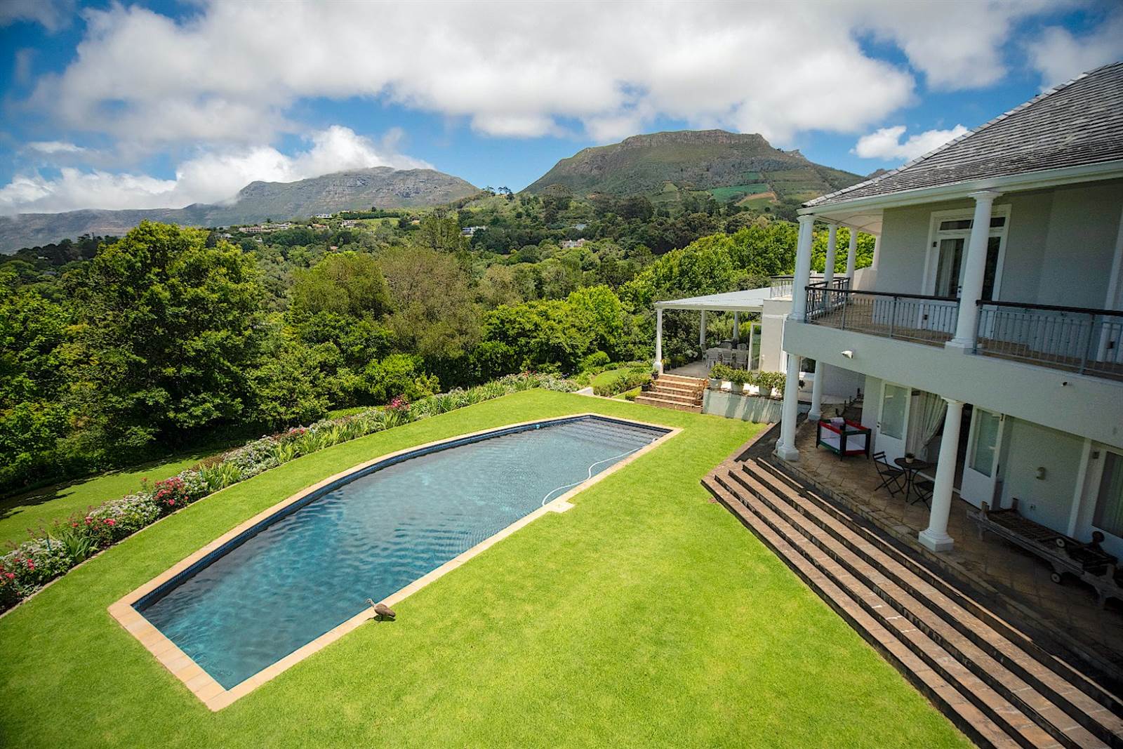 8 Bed House in Constantia photo number 6