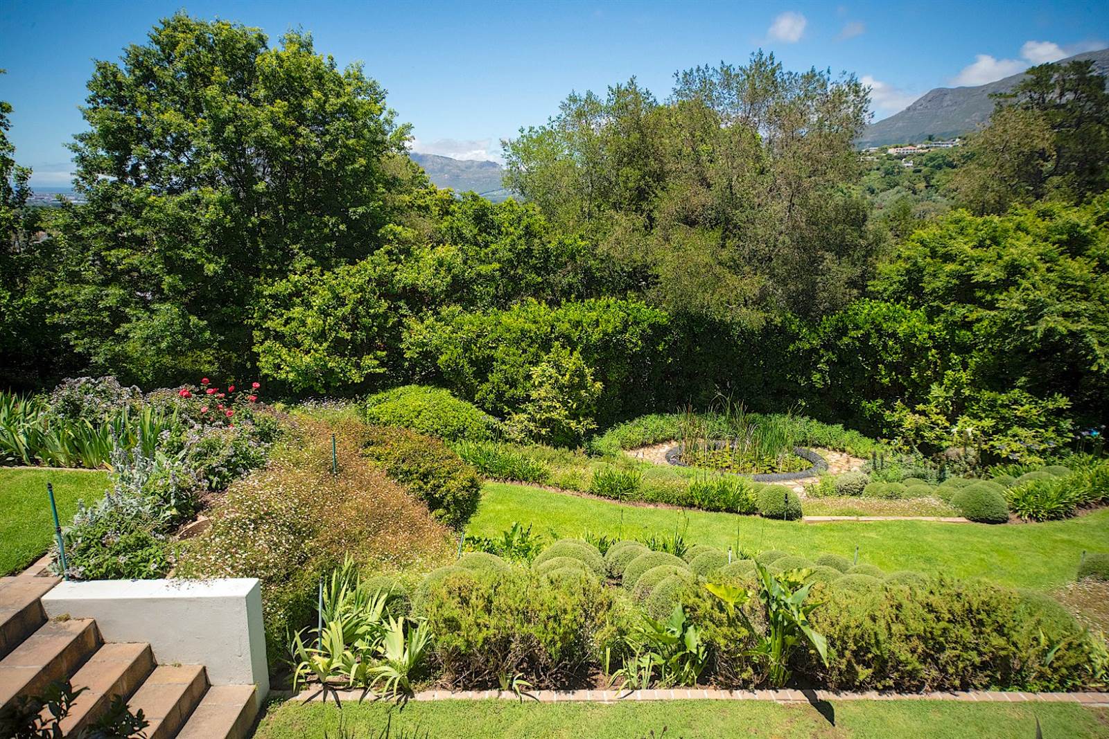 8 Bed House in Constantia photo number 5
