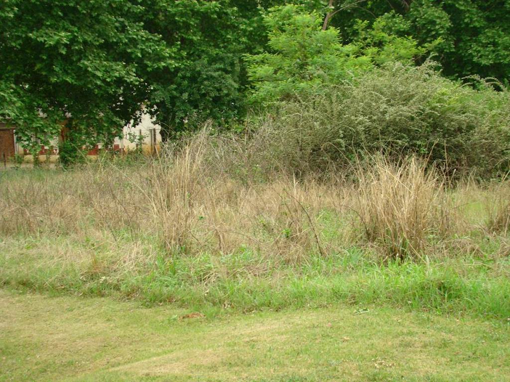 998 m² Land available in Himeville photo number 8