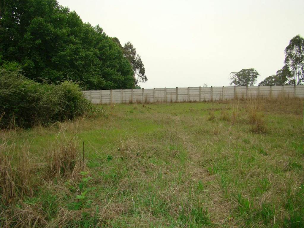 998 m² Land available in Himeville photo number 10