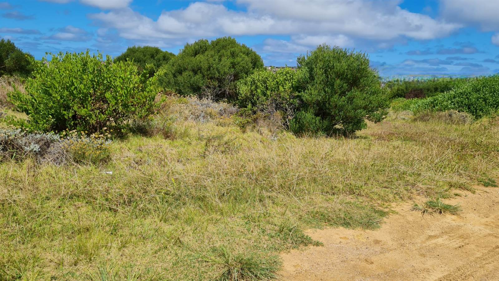 1335 m² Land available in Mossel Bay Central photo number 2