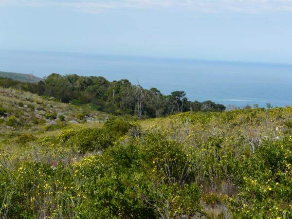 4599 m² Land available in Pezula Private Estate photo number 3
