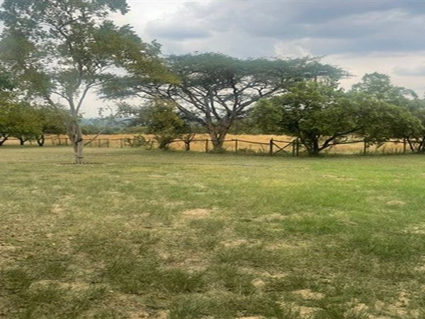 1 ha Land 1 ha Land
