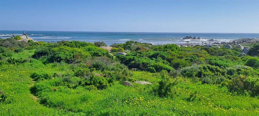 3 Bed House in Jacobsbaai photo number 19