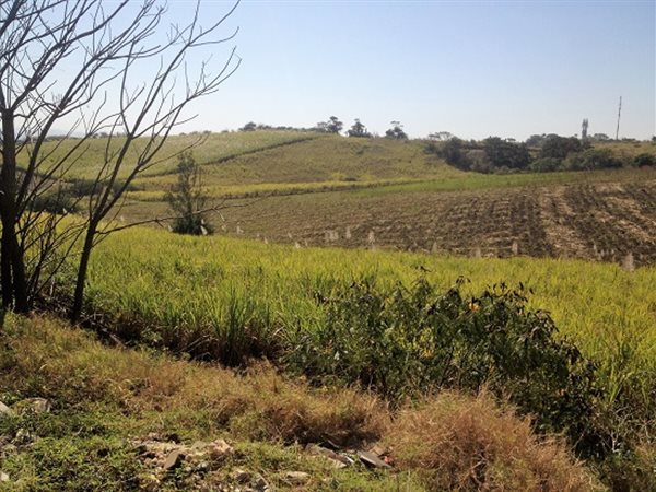 16 ha Land available in Umhlali