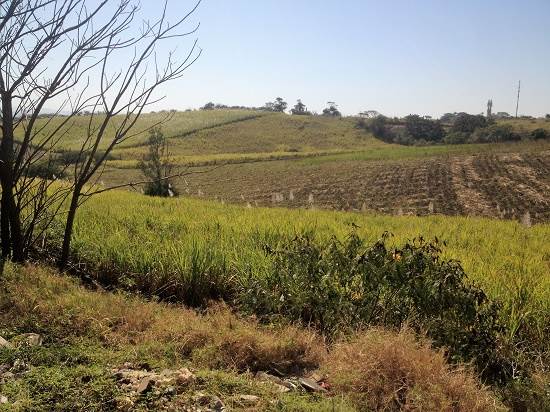 16 ha Land available in Umhlali photo number 1
