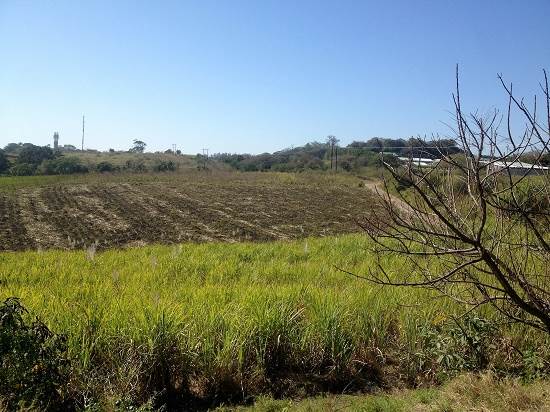 16 ha Land available in Umhlali photo number 5