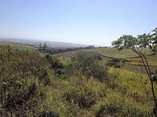 16 ha Land available in Umhlali photo number 2