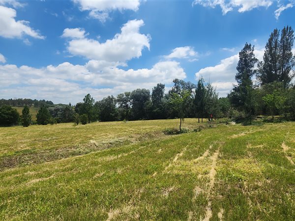 8565 m² Land available in Chartwell