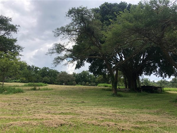 1.8 ha Land available in White River