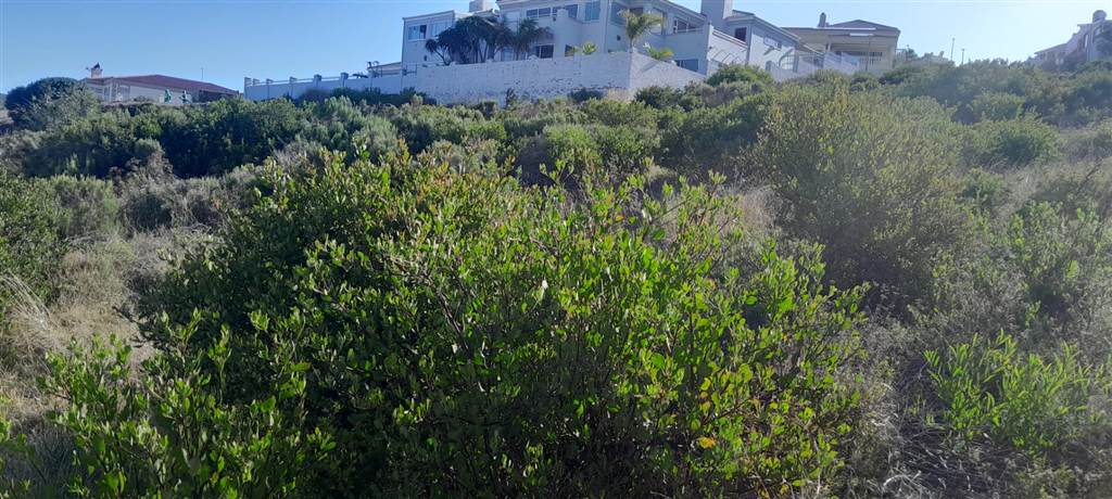 973 m² Land available in Island View photo number 8