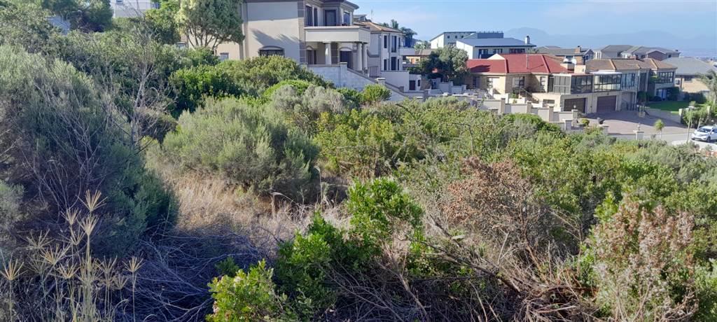 973 m² Land available in Island View photo number 6