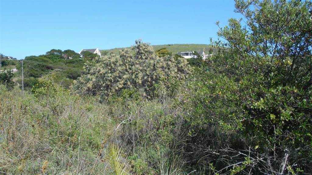 910 m² Land available in Morgans Bay photo number 6